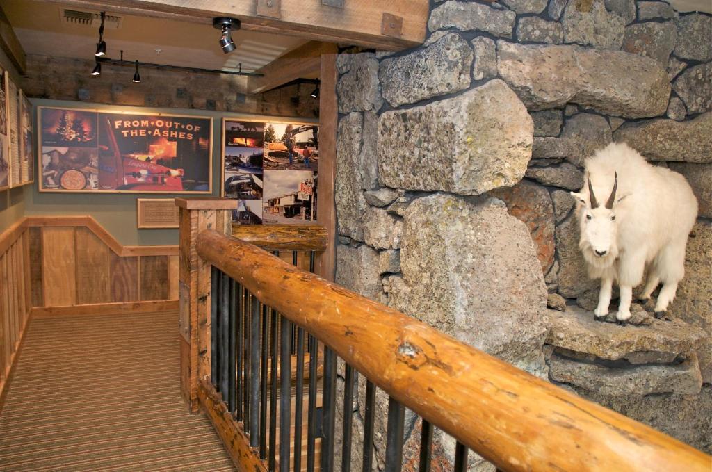 Three Bear Lodge West Yellowstone Esterno foto