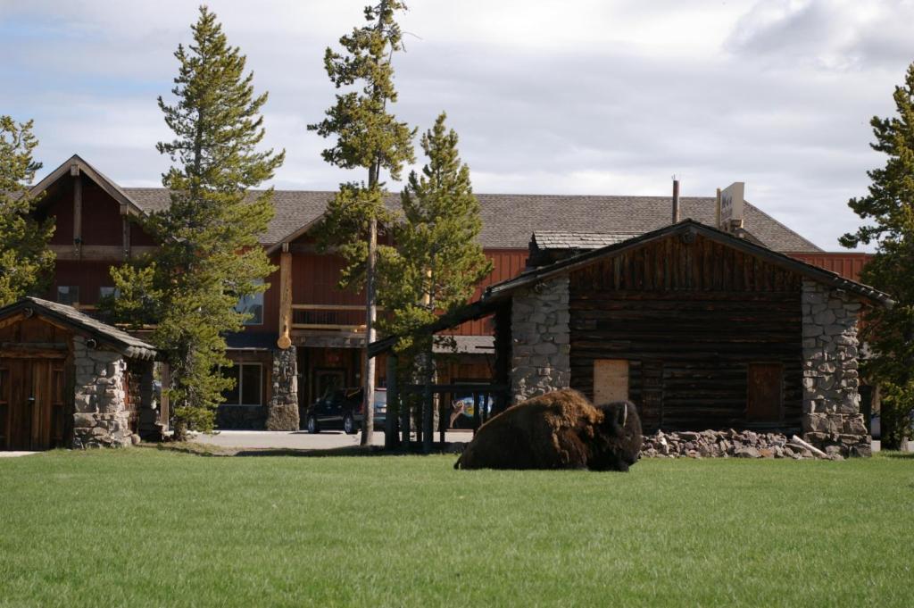 Three Bear Lodge West Yellowstone Esterno foto